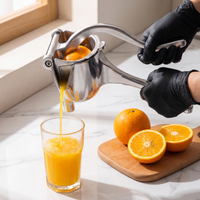 Heavy-Duty Manual Fruit Juicer