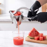 Heavy-Duty Manual Fruit Juicer