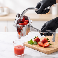 Heavy-Duty Manual Fruit Juicer