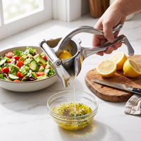Heavy-Duty Manual Fruit Juicer