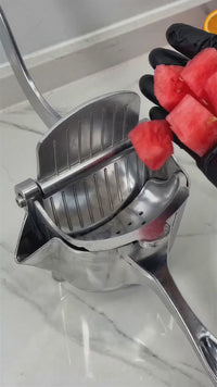 Heavy-Duty Manual Fruit Juicer